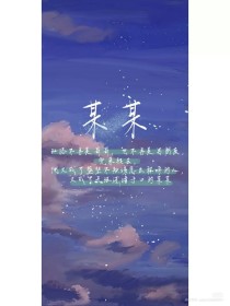 正品蓝导航柠檬导航